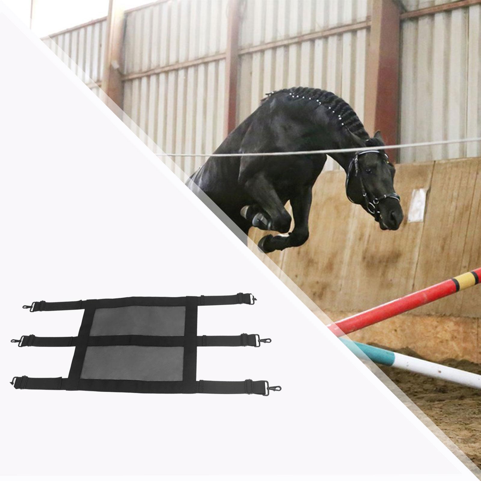 Extra brede gaas paardenstalbe - Door Chain Guard recensie en prijs