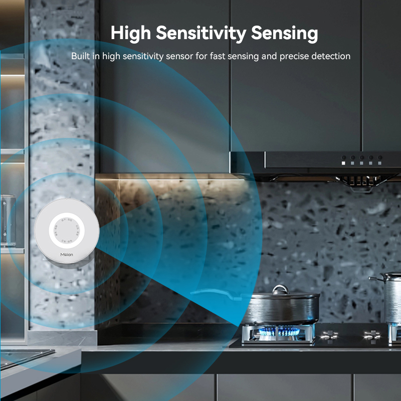 Mian Zigbee Gasdetector Tuya W - Home Security With Ai recensie en prijs