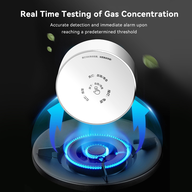Mian Zigbee Gasdetector Tuya W - Home Security With Ai recensie en prijs