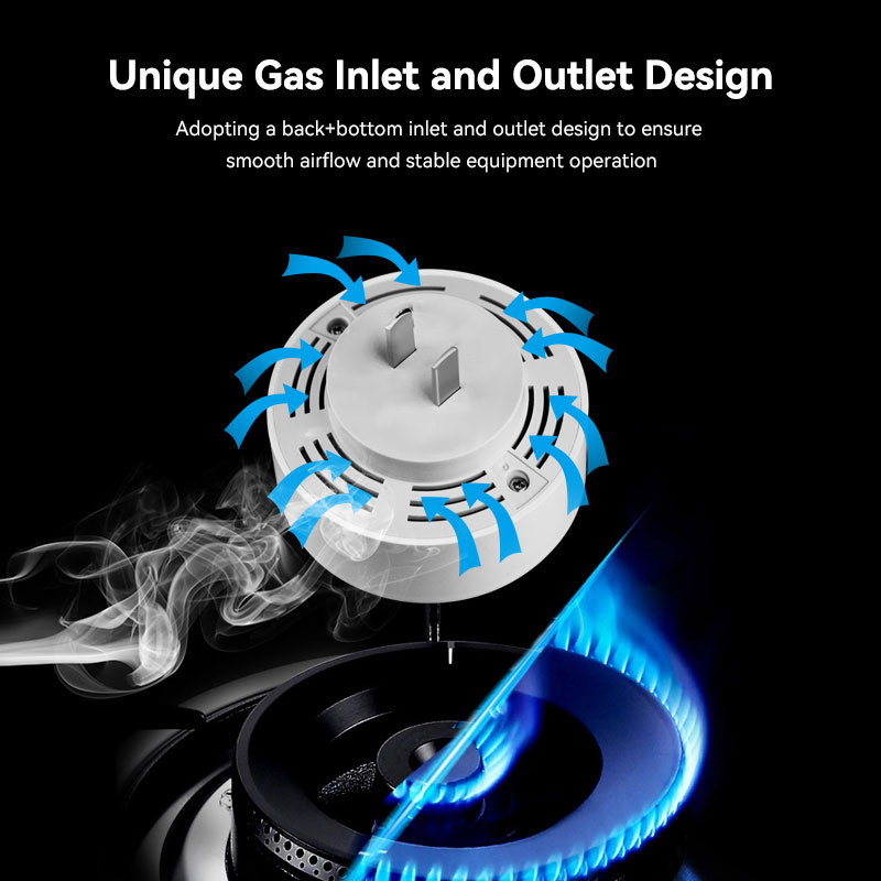 Mian Zigbee Gasdetector Tuya W - Home Security With Ai recensie en prijs