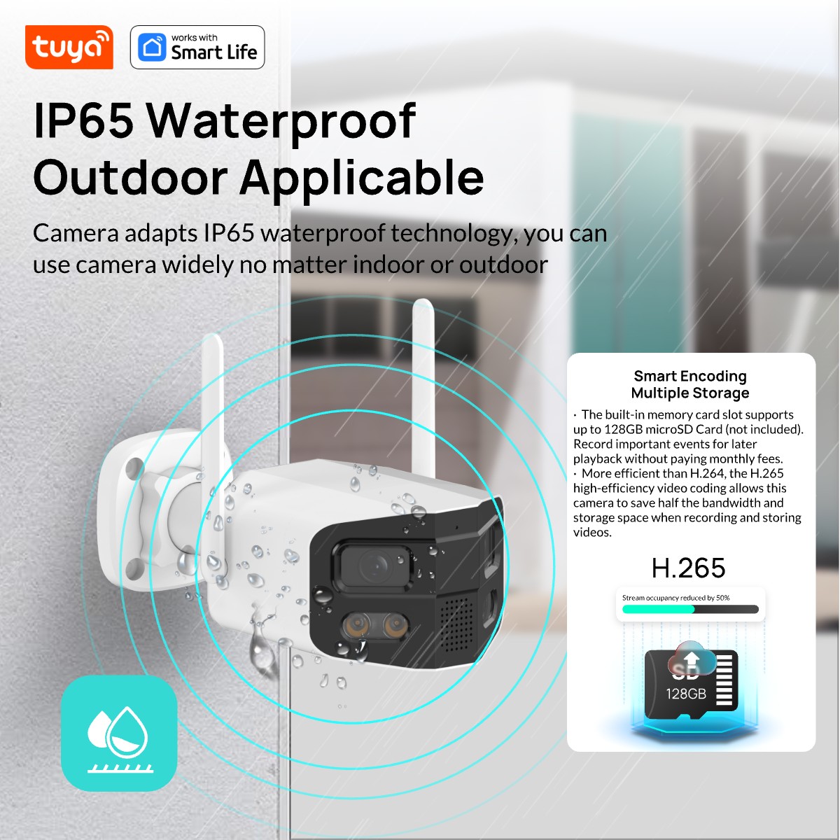 Tuya Smart 4MP 2,5K dubbele le - Home Security Camera Xiaomi recensie en prijs