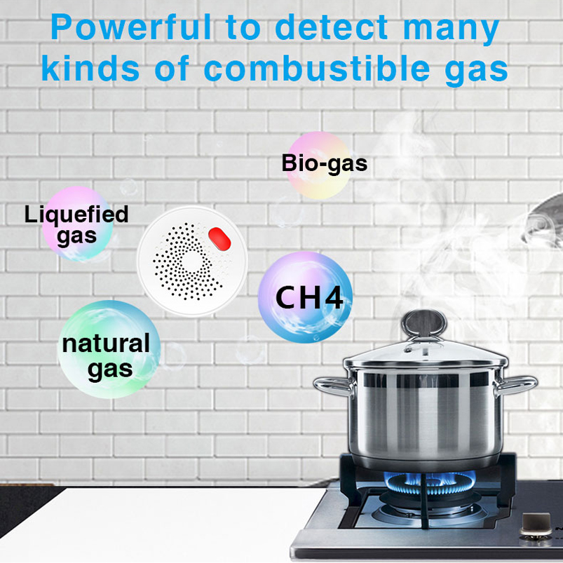 EU/US/UK Tuya Smart Home 2.4G  - Home Security Gadgets recensie en prijs