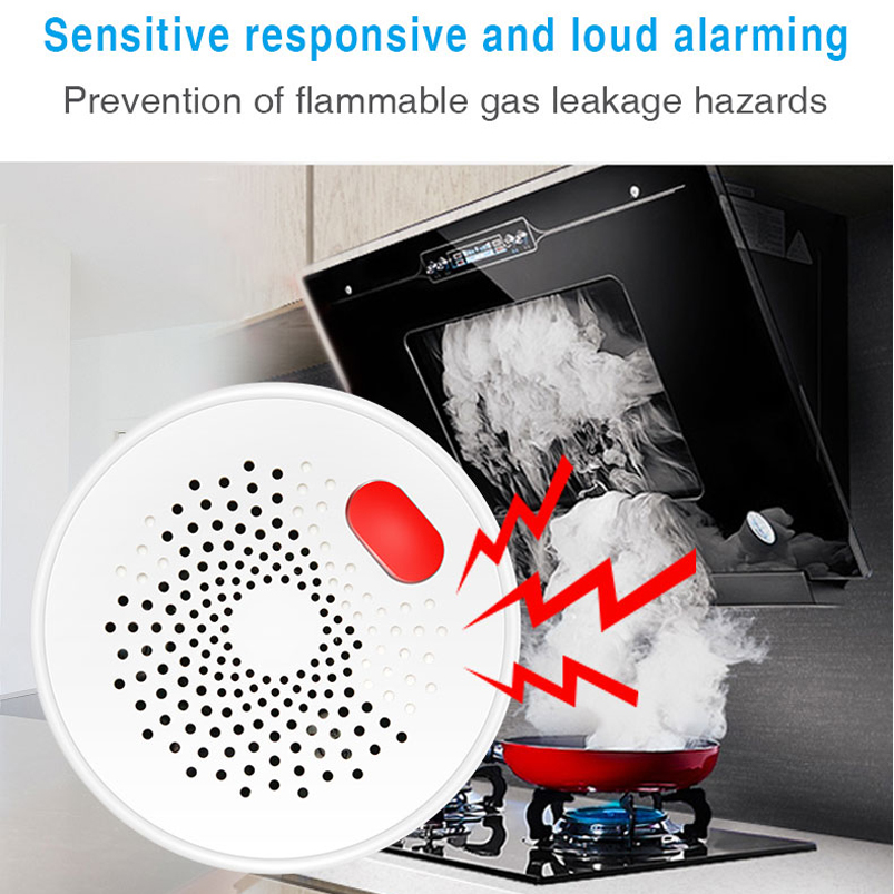 EU/US/UK Tuya Smart Home 2.4G  - Home Security Gadgets recensie en prijs