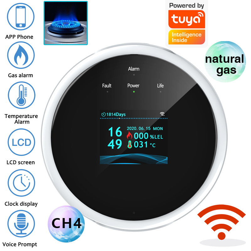 2.4G WiFi Gasalarmsensor Brand - Home Security With Ai recensie en prijs
