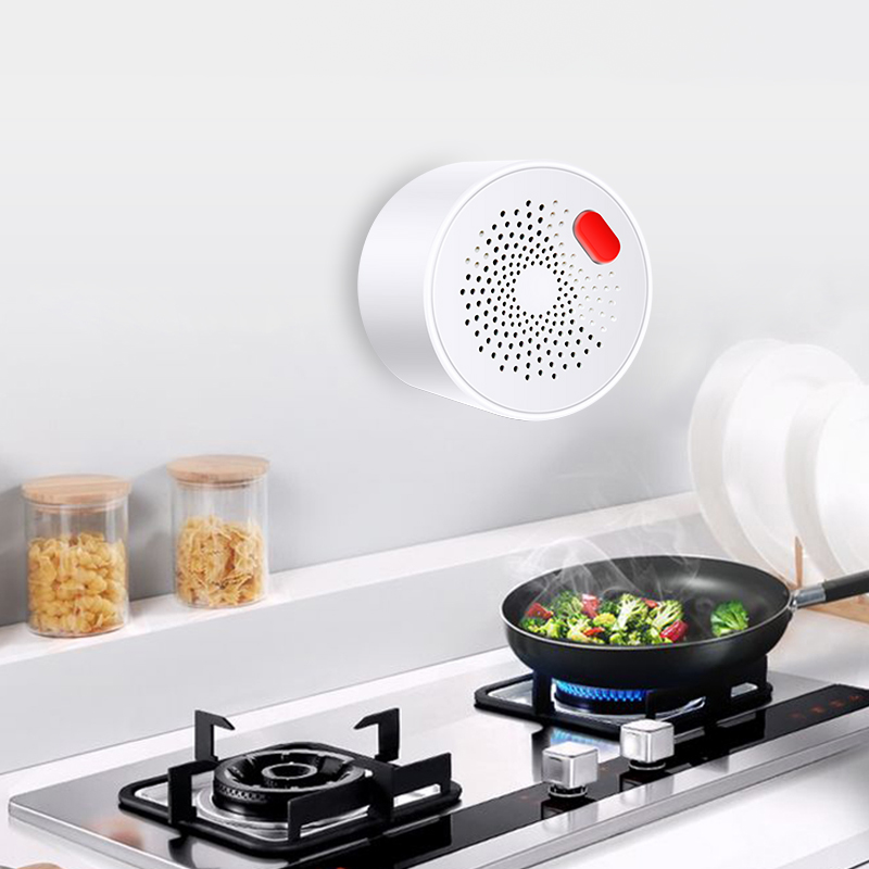 Tuya Smart Home Wifi Aardgas S - Home Security With Ai recensie en prijs