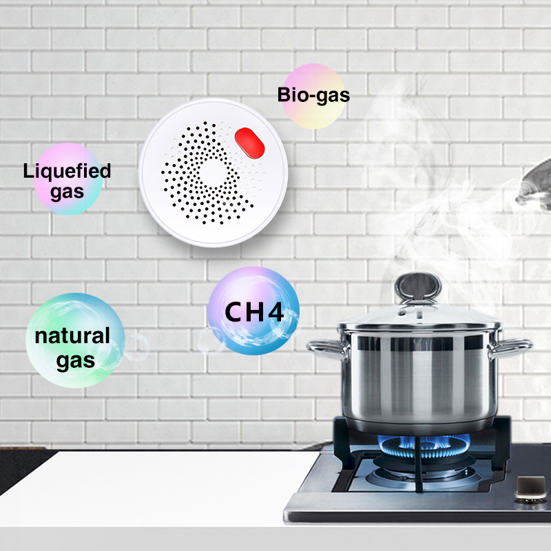 Tuya Smart Home Wifi Aardgas S - Home Security With Ai recensie en prijs
