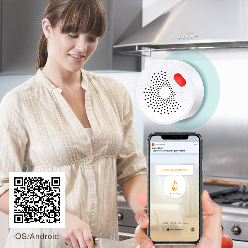 Tuya Smart Home Wifi Aardgas S - Home Security With Ai recensie en prijs